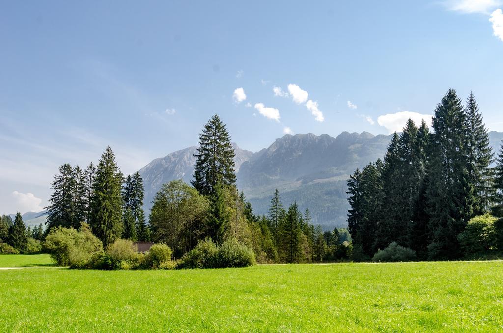 Sportappartements Bad Mitterndorf Dış mekan fotoğraf